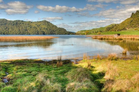 Lake Okareka Walkway