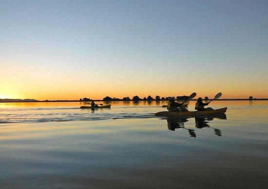 KG Kayaks - Guided Tours