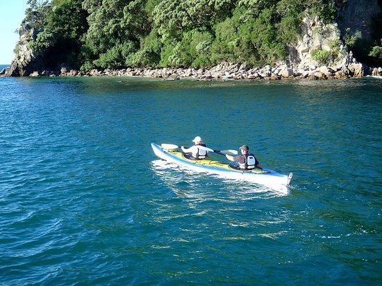 Adventure Bay of Plenty - Day Tours