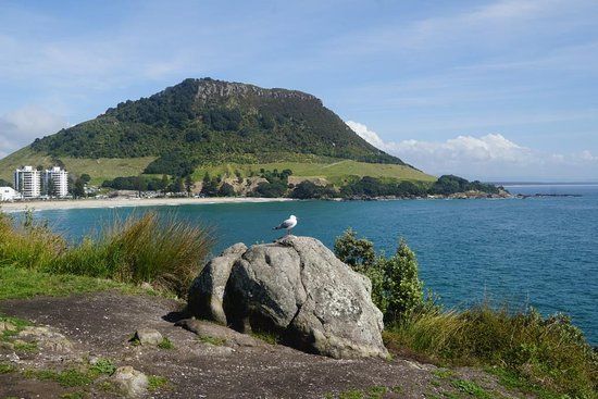 Moturiki Island