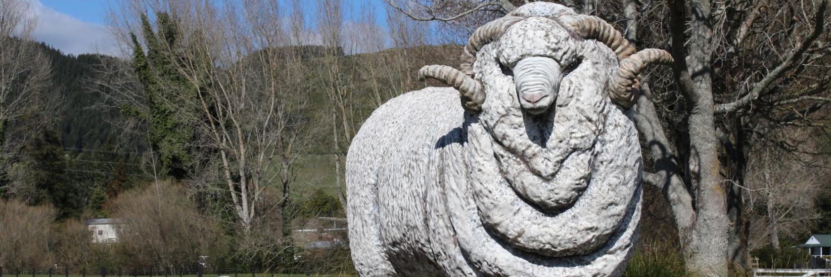 Agrodome Sheep Show